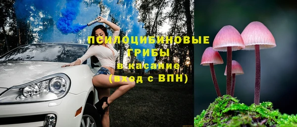 таблы Алексин
