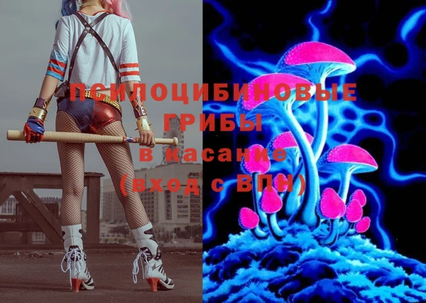 винт Абаза
