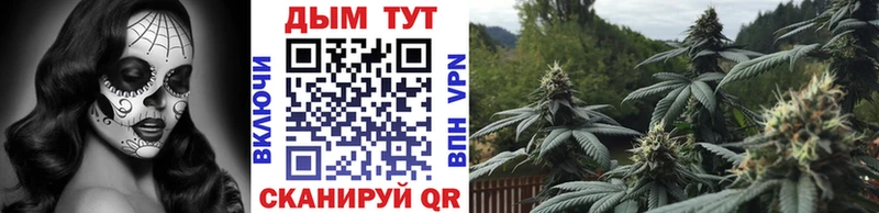 блэк спрут онион  купить закладку  Нижняя Тура  Конопля гибрид 